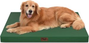 Waterproof Orthopedic Outdoor Dog B...