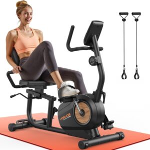 YOSUDA Recumbent Exercise Bike for ...