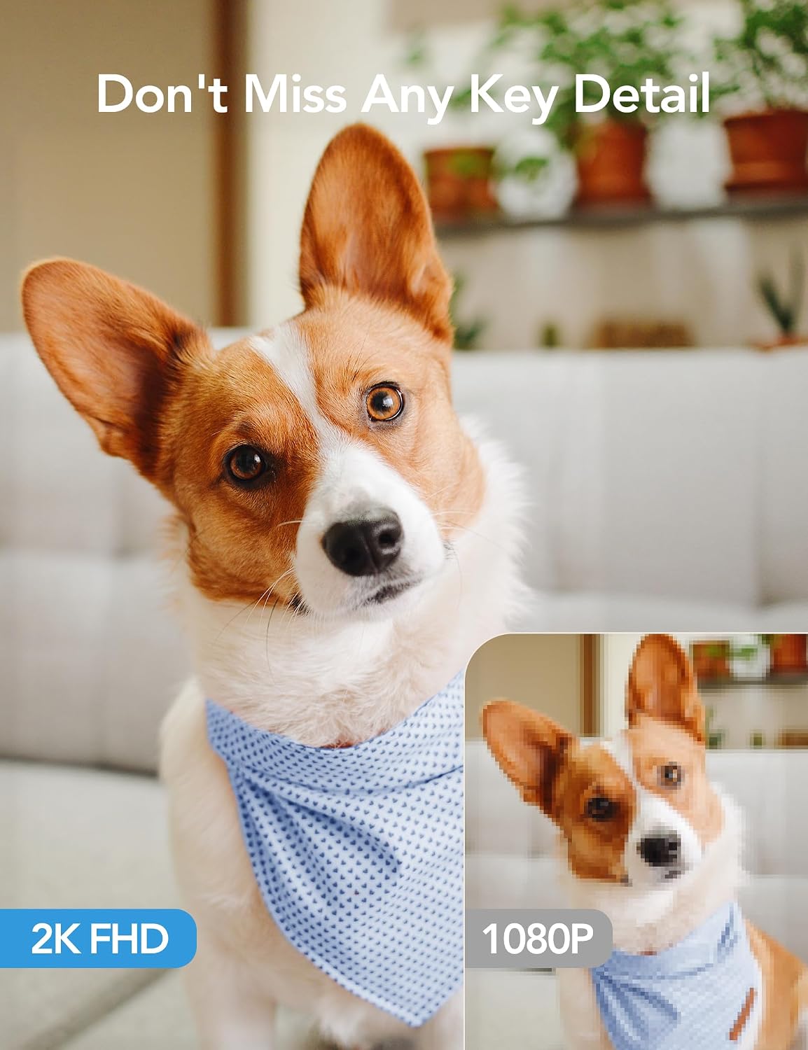 GNCC 5G Cameras for Home Security Indoor, Pet/Dog/Baby w Phone App, 4Pcs - Image 6