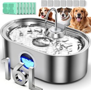4.2Gal Extra Large Dog Water Founta...