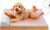 Heated Dog Bed Medium Sized Dog, Heated Pet Bed Waterproof Cover, Medium Orthopedic Dog Sofa Bed Memory Foam with Pet Heating Pad – 27.95×23.2×6.3in