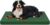 Outdoor Extra Large Dog Bed XXL for Giant Breed Dogs | Egg Crate Orthopedic Foam, Fits 48×30 Crates, TPU Waterproof Layer, Machine Washable 1680D Oxford Cover, Up to 110 lbs