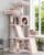Gitelsnour Cat Tree Tower Multi-Level with 2 Scratching Boards, GCT022MU