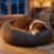 Bedsure SupportMax™ Calming Dog Beds Large Sized Dog Washable Pet Bed,36in | 420GSM Plush Fluffy Donut Round,Thick Supportive,Removable Cover,Anti-Slip,Anti-Anxiety,for Big Dogs Up to 80 Lbs,Dark Grey